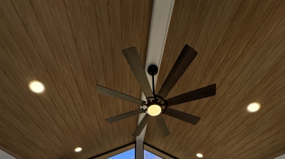 The Lee Porject Photo