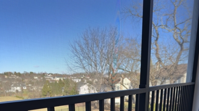 The Lee Project Photo