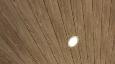 The Lee Project Photo